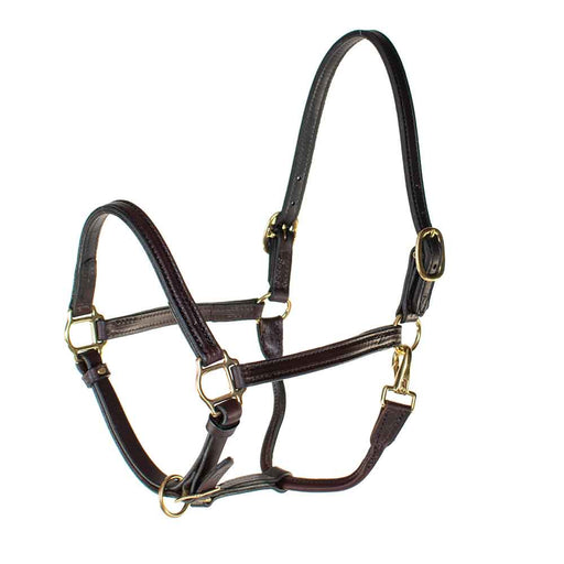 Teskey's 3/4" Track Halter Tack - Halters & Leads Teskey's Standard