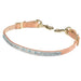 Teskey's Turquoise Gator Wither Strap Tack - Breast Collars Teskey's