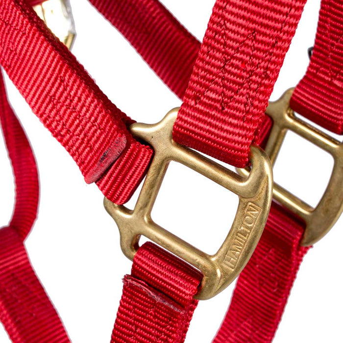 Hamilton 1" Deluxe Nylon Halter - Horse Sizes Tack - Halters & Leads Hamilton