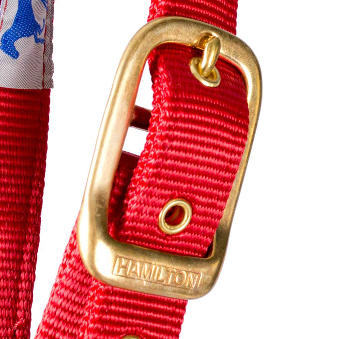 Hamilton 1" Deluxe Nylon Halter - Horse Sizes Tack - Halters & Leads Hamilton