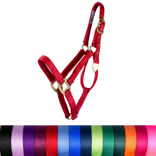 Hamilton 1" Deluxe Nylon Halter - Horse Sizes Tack - Halters & Leads Hamilton