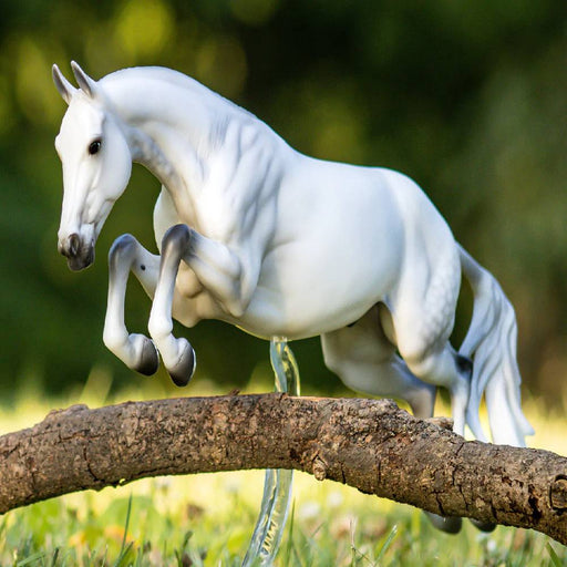 Breyer Get Rowdy - Dutch Warmblood KIDS - Accessories - Toys Breyer
