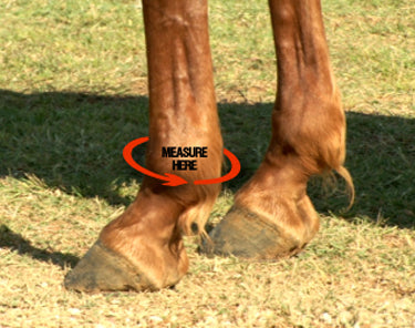 Iconoclast Orthopedic Sport Boots Tack - Leg Protection Iconoclast   