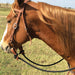 Martin Saddlery 1/2" Braided Rein Tack - Reins Martin Saddlery   