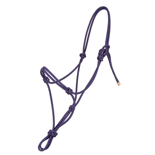 Steele Halter Tack - Halters & Leads Steele Purple/Black