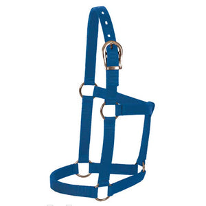 Mustang Foal Economy Halter Tack - Pony Tack - Misc. (Halters, Leads, Boots) Mustang Blue  