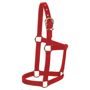 Mustang Foal Economy Halter Tack - Pony Tack - Misc. (Halters, Leads, Boots) Mustang Red  