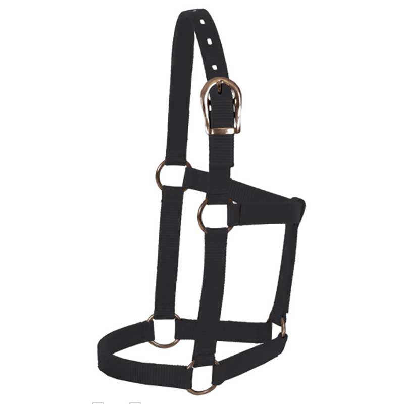 Mustang Foal Economy Halter Tack - Pony Tack - Misc. (Halters, Leads, Boots) Mustang Black  