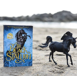 Black Stallion Horse & Book Set KIDS - Accessories - Toys Breyer   