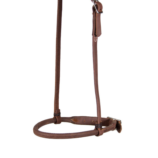 Teskey's Rolled Cavesson Tack - Nosebands & Tie Downs Teskey's