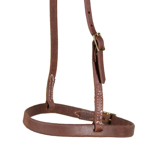 Teskey's Cavesson Noseband Tack - Nosebands & Tie Downs Teskey's Heavy Oil