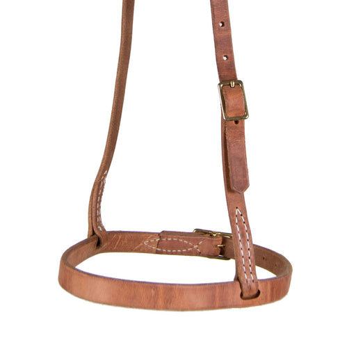 Teskey's Cavesson Noseband Tack - Nosebands & Tie Downs Teskey's Light Oil