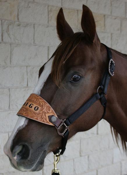 Trophy Bronc Halter with Starburst Conchos Customs & Awards - Halters Teskey's