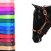 Trophy Halter #4. Customs & Awards - Halters Teskey's