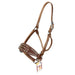 Trophy Halter #6 Unclassified Teskey's   