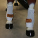 Trophy Legacy Splint Boots Customs & Awards - Horse Boots Teskey's