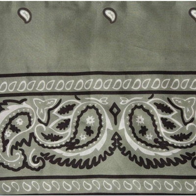 Wyoming Traders Cheetah Charmeuse Silk Wild Rag main image 0